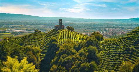 Tour operators in Soave, Veneto